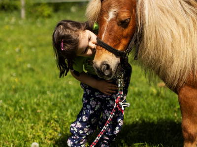Bild 72 aus  LandSelection Ferienhof Zur Hasenkammer