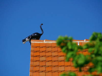 Bild 12 aus  Ferienwohnungen Katzenhaus