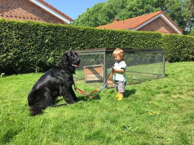 Bild 15 aus  Inselurlaub Fehmarn