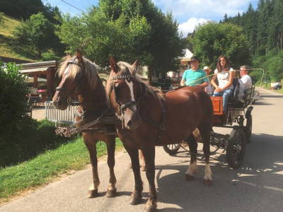 Bild 11 aus  Maierhof