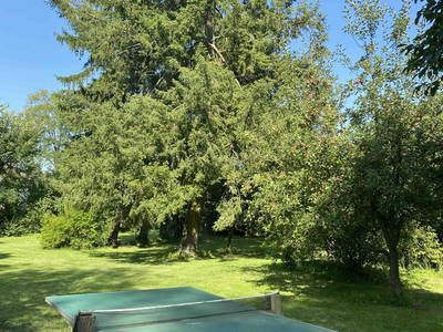 Bild 40 aus  LandSelection Rüsterhof