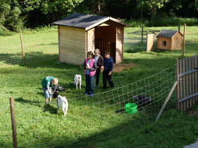 Bild 7 aus  Hanselishof