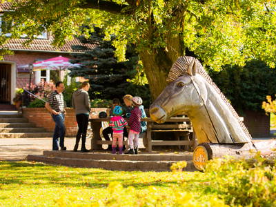 Bild 17 aus  Reiter- und Ferienhof Cohrs