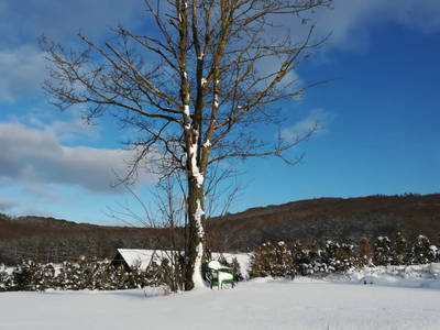 Bild 37 aus  Marienhof