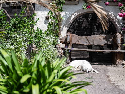 Bild 21 aus  Lautersheimer Gutshof