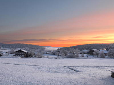 Bild 49 aus  Paulas Bauernhof im Bayerischen Wald