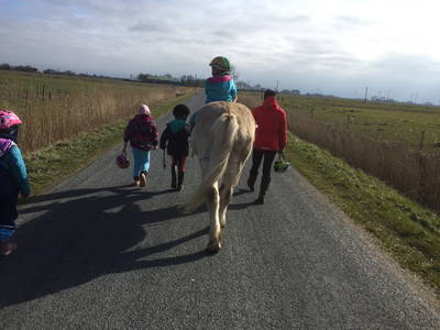 Bild 9 aus  Ferienhof Lorenzen