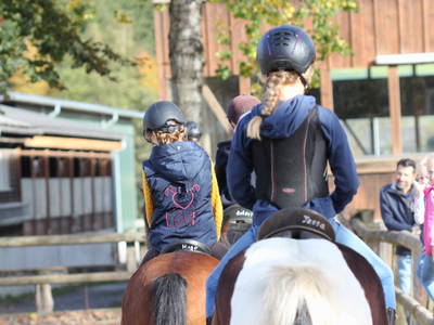 Bild 10 aus  Ponyhof Meier