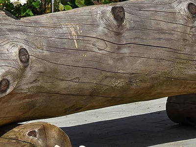 Bild 15 aus  Willkommen bei Familie Gutmann  auf dem Itzenwaldhof