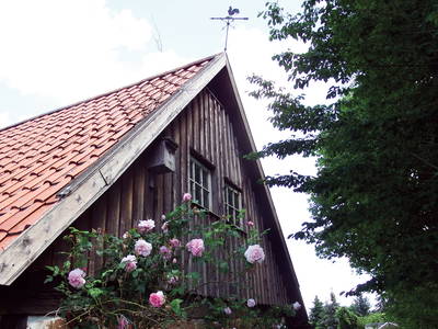 Bild 13 aus  Ferienhof Rauchhaus