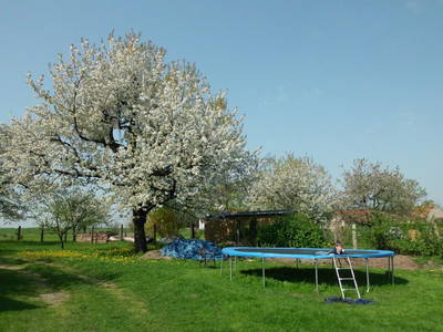 Bild 10 aus  Familienferienhof M. & M. Leubner