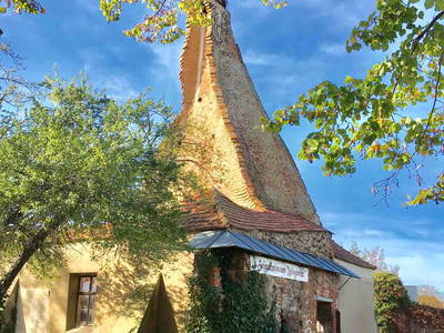 Bild 12 aus  Ferienwohnung im Rosengarten
