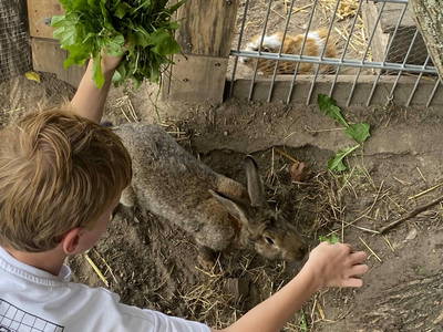 Bild 7 aus  LandSelection Rüsterhof