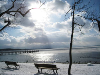 Bild 21 aus  Beim Paulfischer direkt am Chiemseeufer