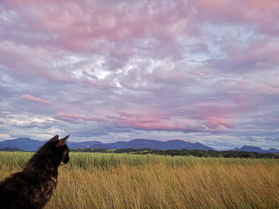 Bild 22 aus  Auf'm Reifnhof: Ihr Kreativhof am Simssee im Chiemgau