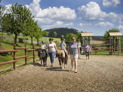 Bild 9 aus  Ferienhof Belke-Spork