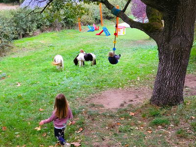 Bild 27 aus  Une Campagne en Provence