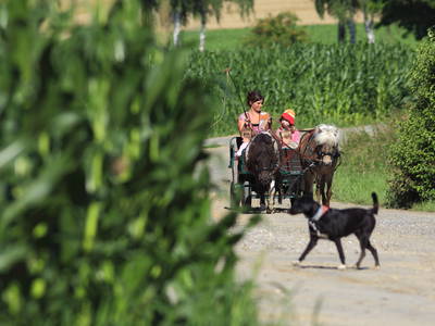 Bild 9 aus  Wendelinshof