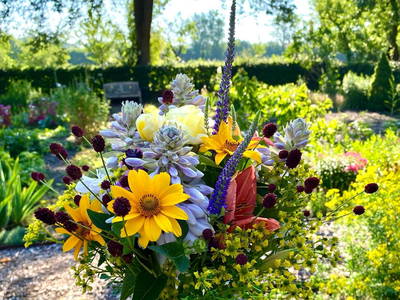 Bild 23 aus  SchleinersHof