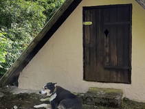 Bild 9 aus  Urige Hütte zwischen Wald und Reben