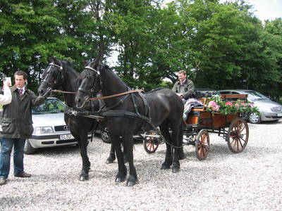 Bild 14 aus  Ferienhof Thomsen