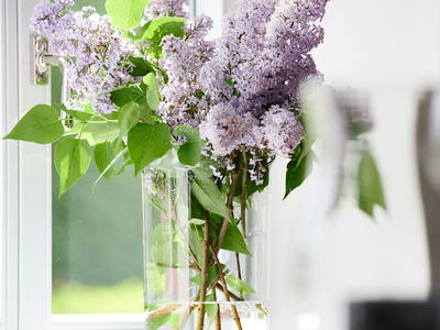 Bild 6 aus  Elsas Enkel Ostseeurlaub