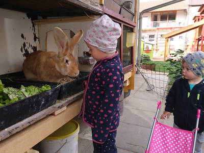 Bild 32 aus  Steigerwälder Zwergenhof ihr kleiner Kinder-Bauernhof für Familien- und Gruppenurlaube