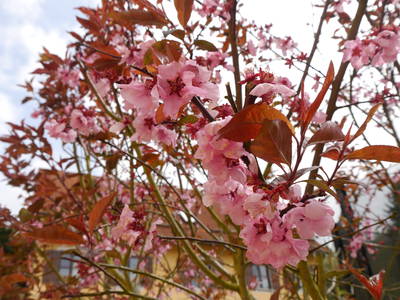 Bild 5 aus  Gästehaus im Lochautal