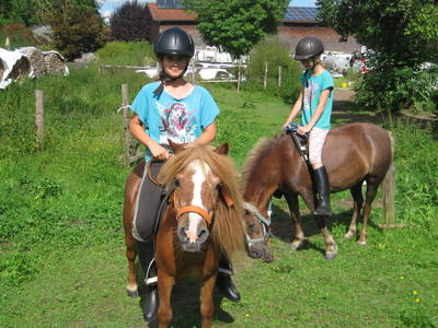 Bild 26 aus  Winklerhof-Kinderlandbauernhof, Familie Esterer