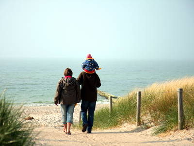 Bild 12 aus  Bernsteinreiter Hirschburg