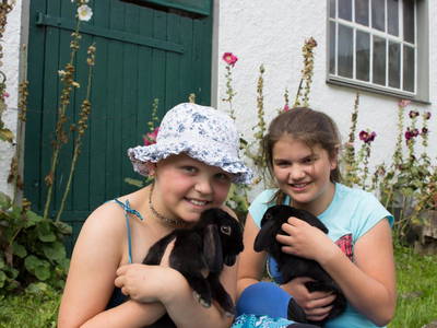 Bild 19 aus  Ferienhof  am Hennesee