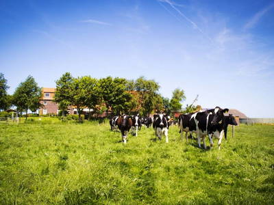 Bild 38 aus  Küstenhof Oldewurtel