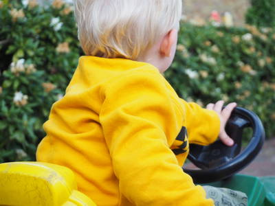 Bild 31 aus  Ferienhof Wübbold