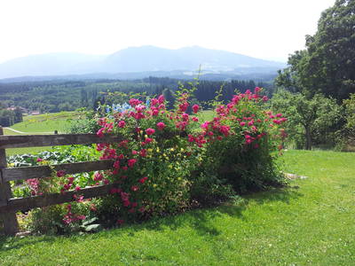 Bild 16 aus  Biohof-Rechenmacher GbR