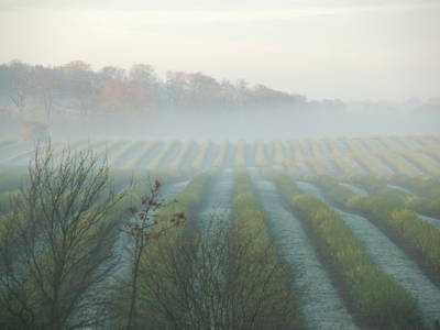 Bild 36 aus  Forsthof Niendorf
