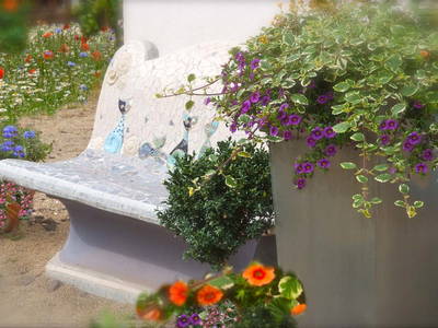 Bild 11 aus  Ferienhäuser Bellana