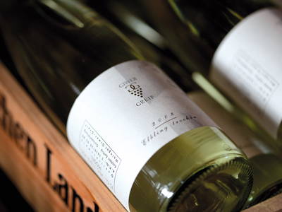 Bild 12 aus  Weingut & Gästehaus GiwerGreif