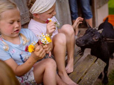 Bild 21 aus  Ferienhof Sonnengarten