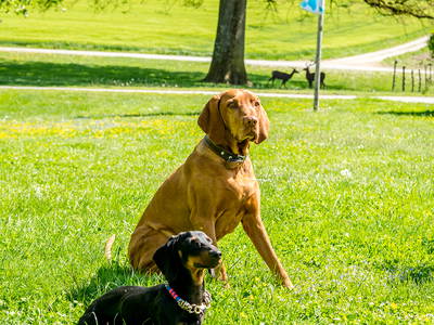 Bild 30 aus  LandSelection Moierhof am Chiemsee - Ferienhof des Jahres