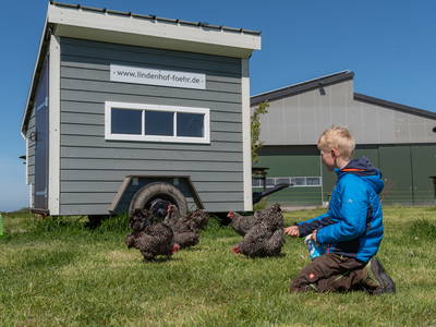 Bild 14 aus  Lindenhof