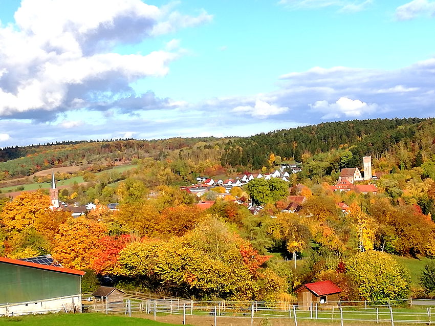 Ferienhof Pfeiffer - Natururlaub im Blockhaus - nachhaltig gut! in
