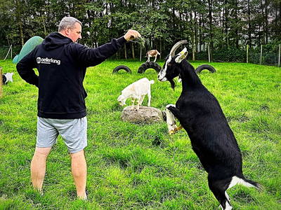 Bild 42 aus  Ponyhof Goldenstein