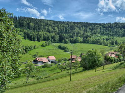 Bild 16 aus  Bauernhof Rützler