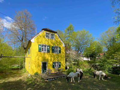 Bild 6 aus  Reit-, Pensions- und Ferienhof Zehendner