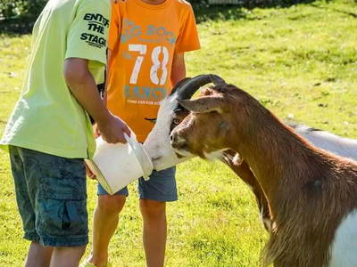 Bild 23 aus  Huberhof