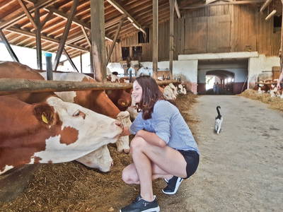 Bild 8 aus  Höllthal-Mühle