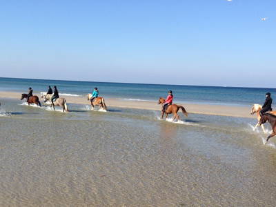 Bild 2 aus  Bernsteinreiter Hirschburg