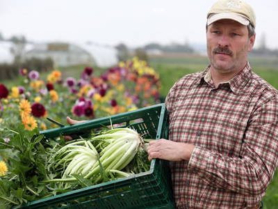 Bild 19 aus  Brunnenhof Hiss