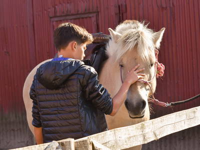 Bild 27 aus  Sonis kleine Farm Grömitz