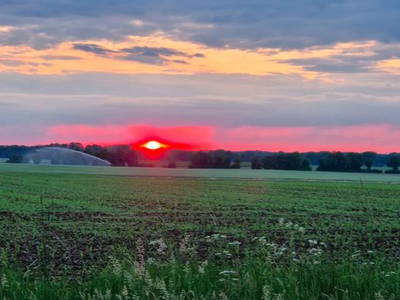 Bild 10 aus  Kreuger's Hof